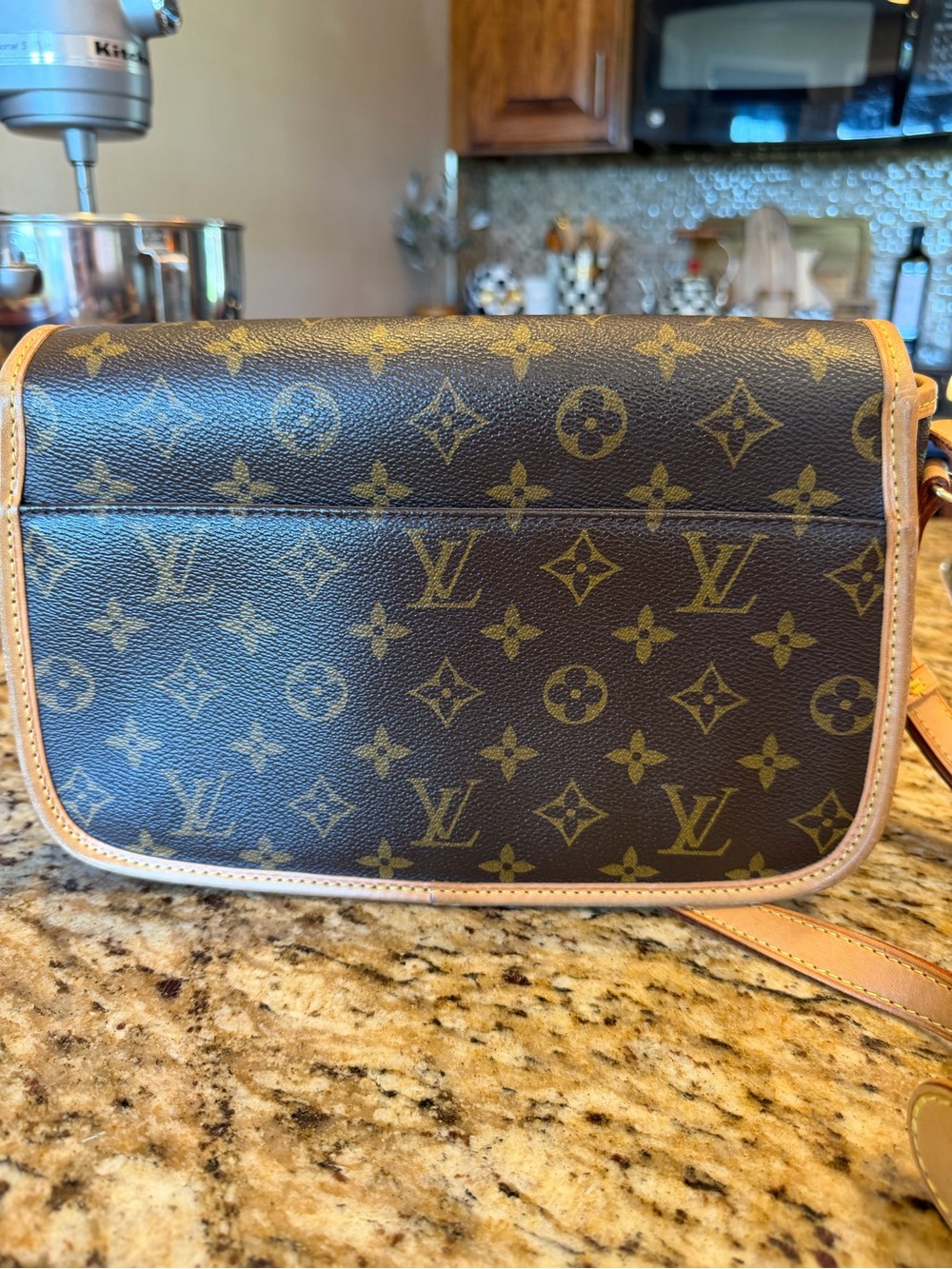 Louis Vuitton Monogram Sologne Crossbody Bag - Picture 8 of 12